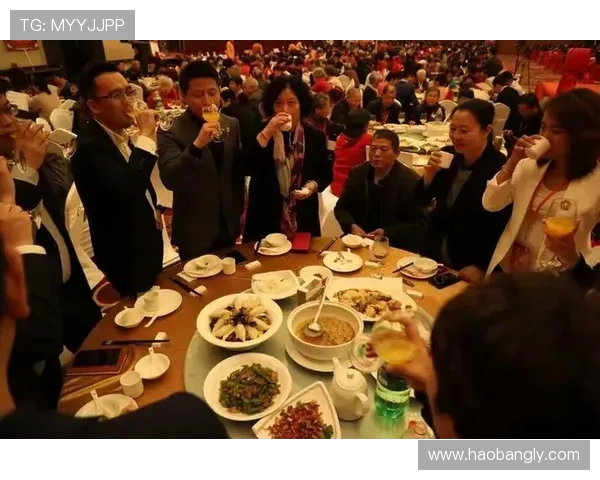 南京排球队的奋斗历程与荣耀瞬间全景纪实