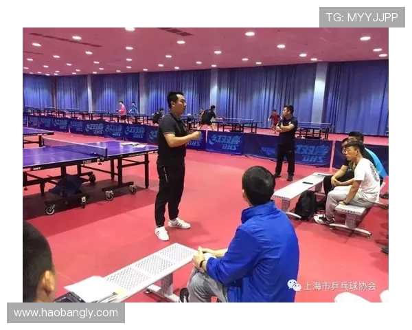成都乒乓球队技术解析与训练策略探讨助力乒乓球发展