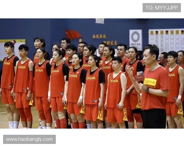 排球专题深入探讨西安排球队的战术与技术创新分析