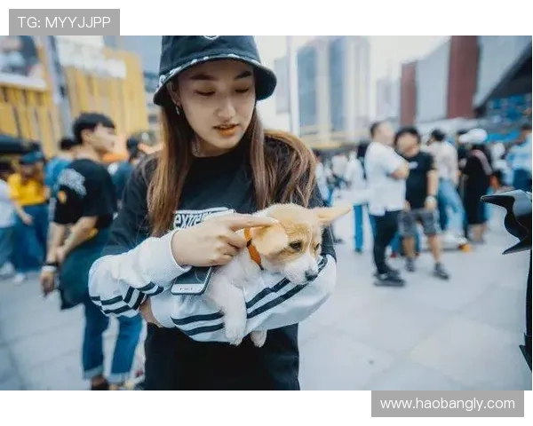 武汉滑板队默契配合的独特分析与对比研究